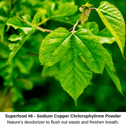 K9 Drops - Miracle Liquid Turns Dog Food Into A Natural Remedy