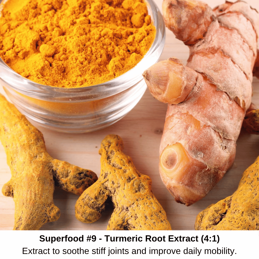 K9 Drops - Miracle Liquid Turns Dog Food Into A Natural Remedy
